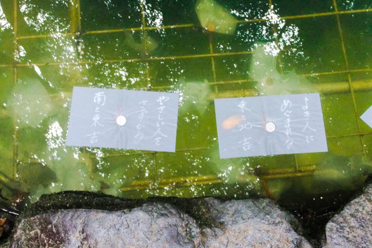 八重垣神社の鏡の池占い